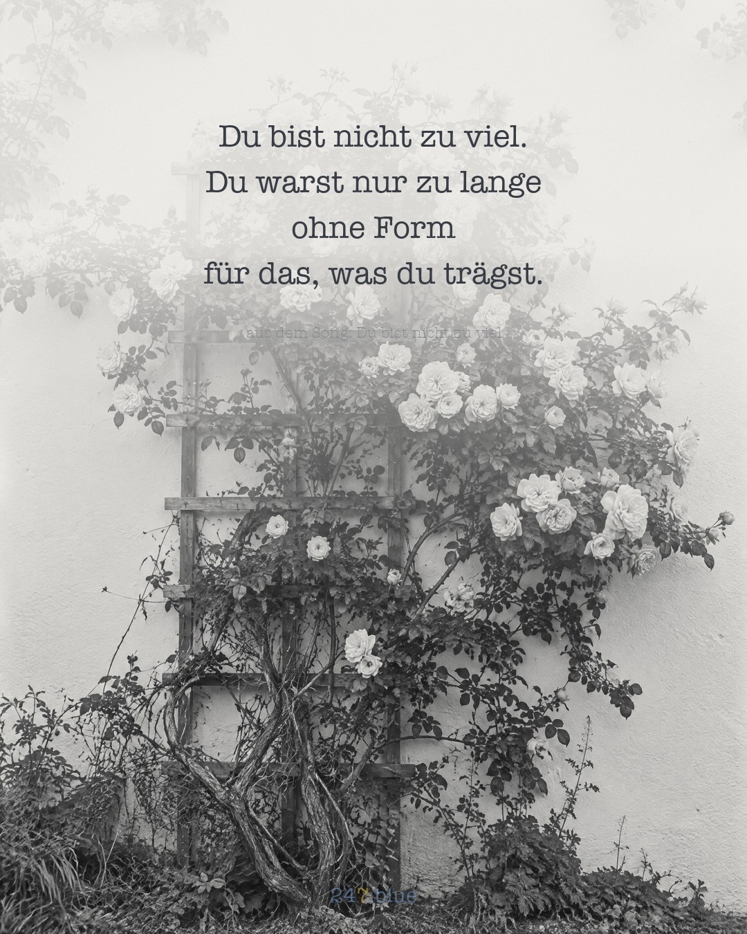 Bild zu „Du bist nicht zu viel“ mit der Liedzeile: Du bist nicht zu viel. Du warst nur zu lange ohne Form für das, was du trägst.
