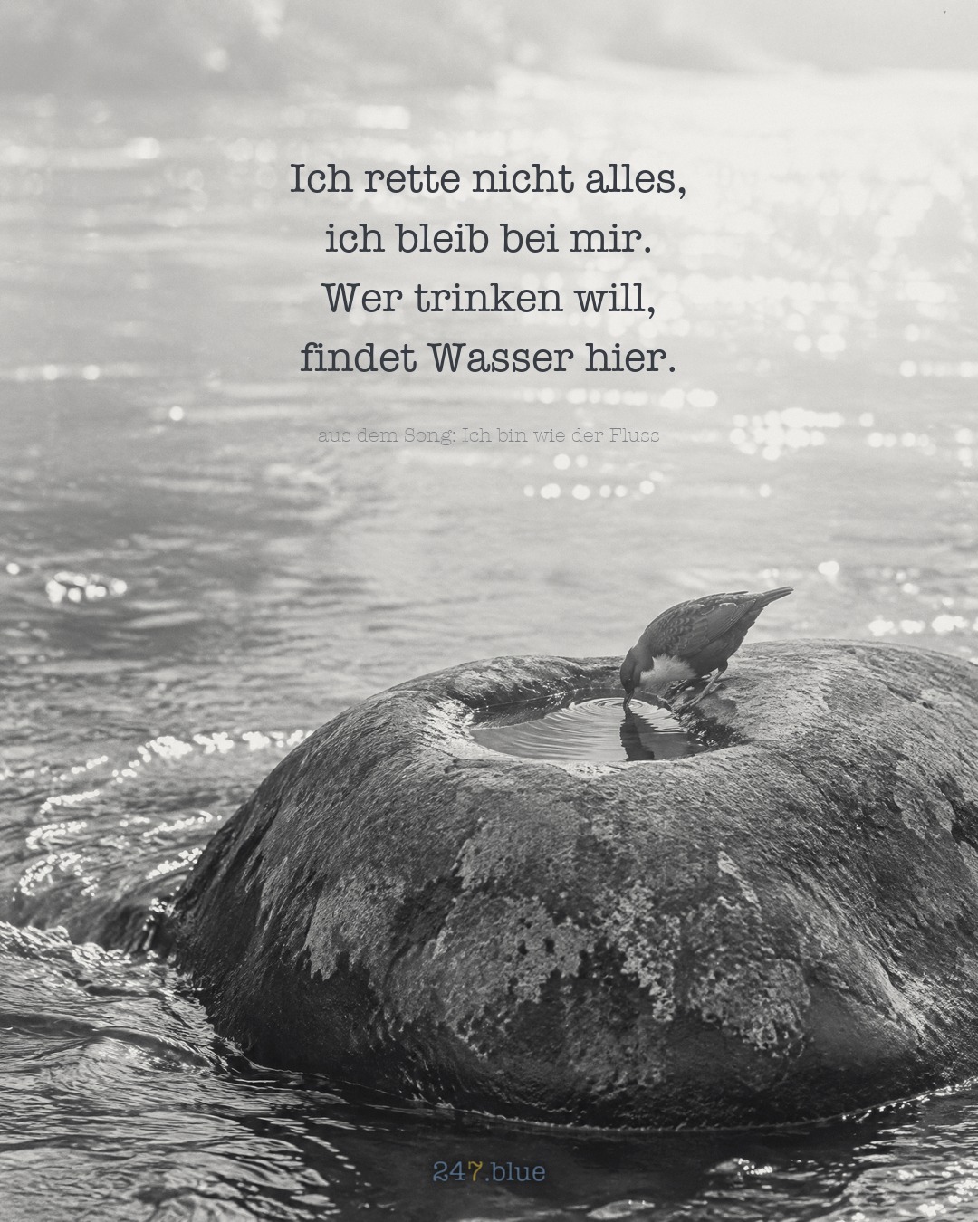 Bild zu „Ich bin wie der Fluss“ mit der Liedzeile: Ich rette nicht alles, ich bleib bei mir. Wer trinken will, findet Wasser hier.