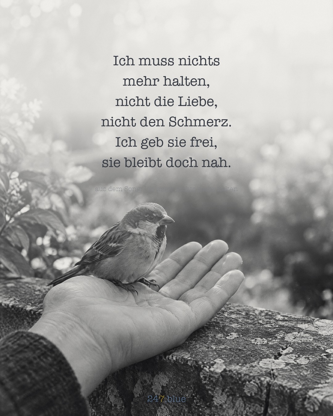 Bild zu „Ich muss nichts mehr halten“ mit der Liedzeile: Ich muss nichts mehr halten, nicht die Liebe, nicht den Schmerz. Ich geb sie frei, sie bleibt doch nah.