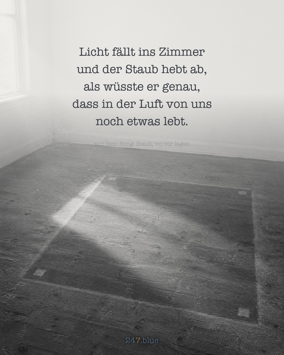 Bild zu „Staub, wo wir lagen“ mit der Liedzeile: Licht fällt ins Zimmer und der Staub hebt ab, als wüsste er genau, dass in der Luft von uns noch etwas lebt.